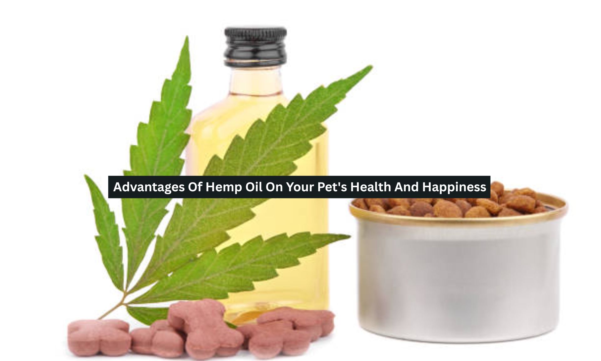 Advantages Of Hemp Oil On Your Pet’s Health And Happiness