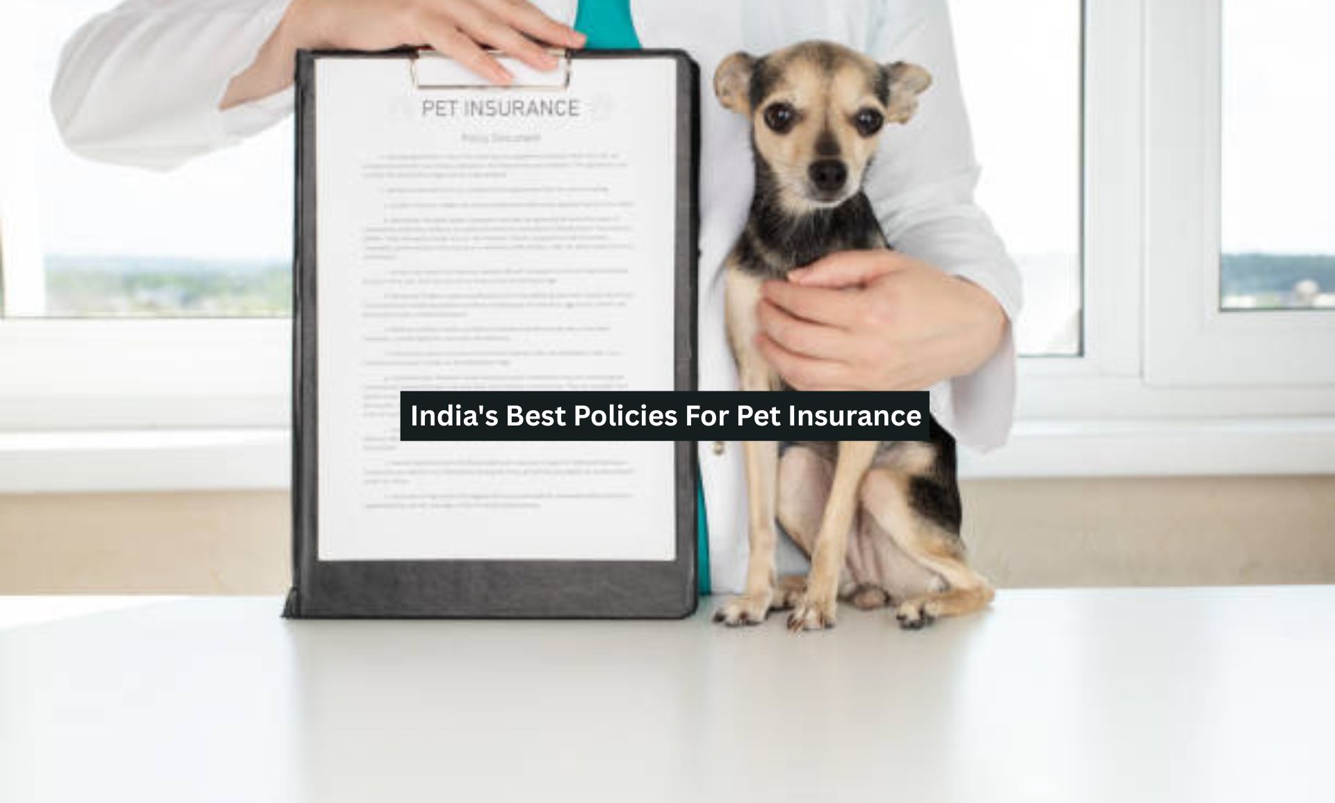 India’s Best Policies For Pet Insurance