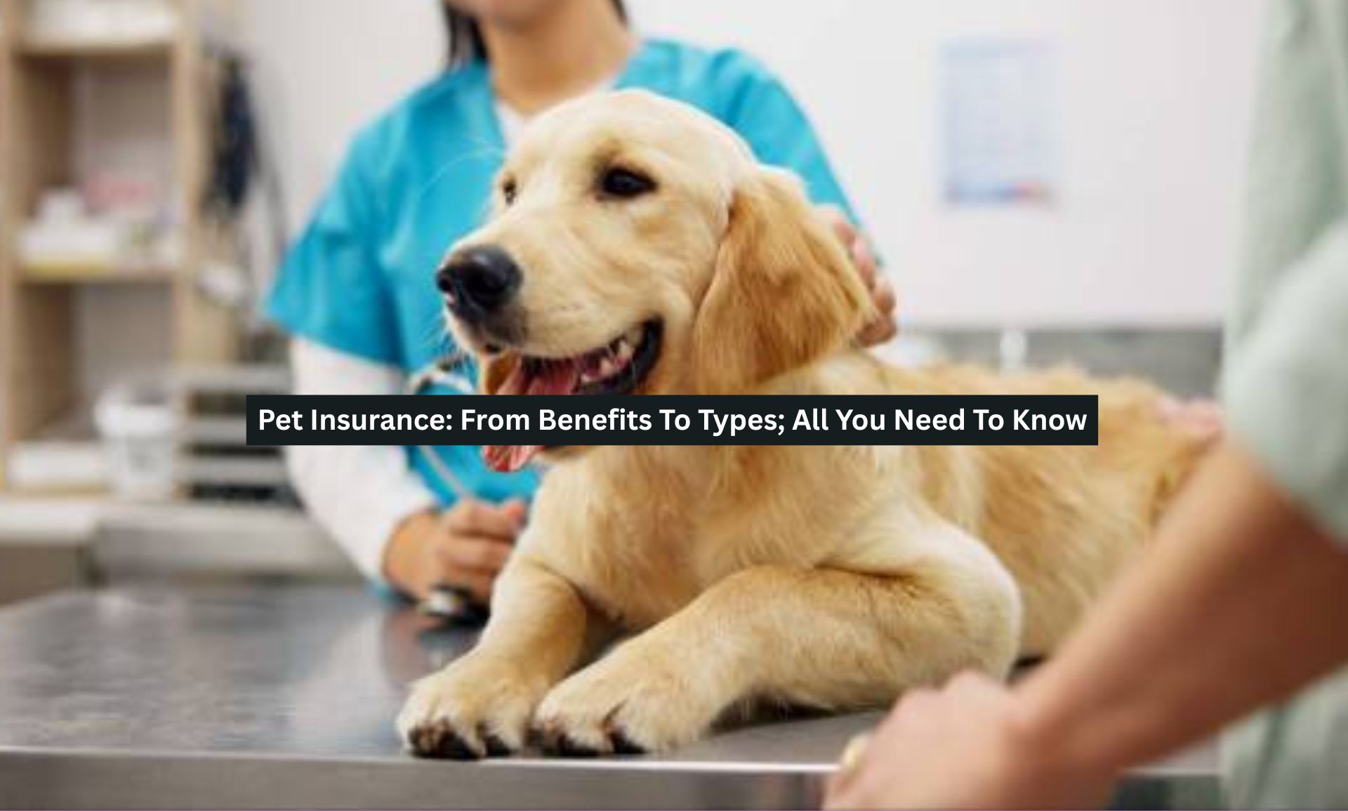 Pet Insurance: From Benefits To Types: All You Need To Know