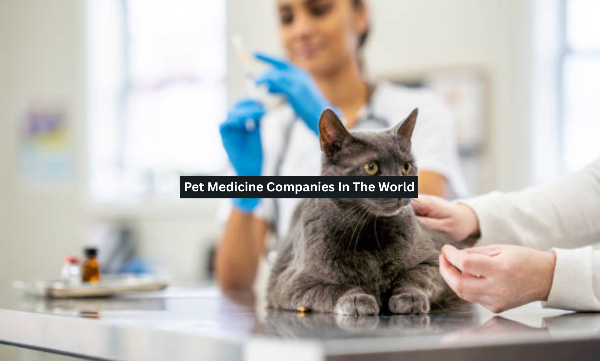 Pet Medicine Companies In The World