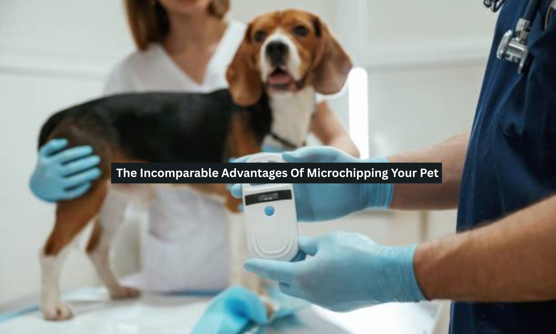 The Incomparable Advantages Of Microchipping Your Pet